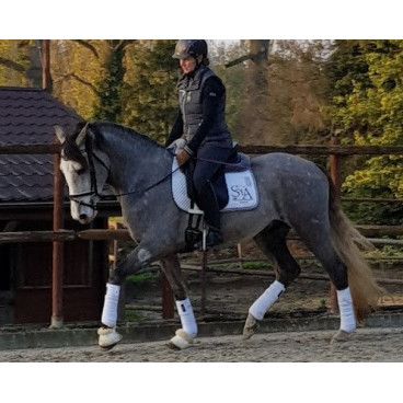 Etalon PRE 4 ans