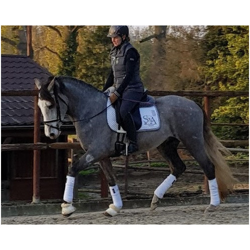 Etalon PRE 4 ans