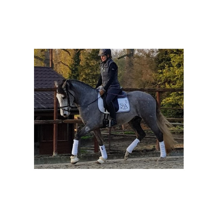 Etalon PRE 4 ans