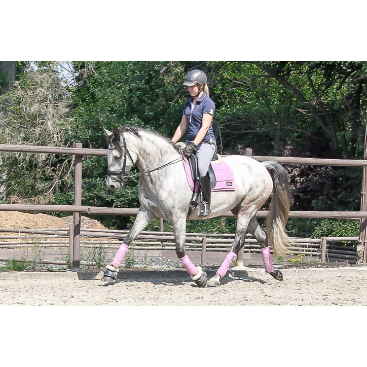 Jument Dressage
