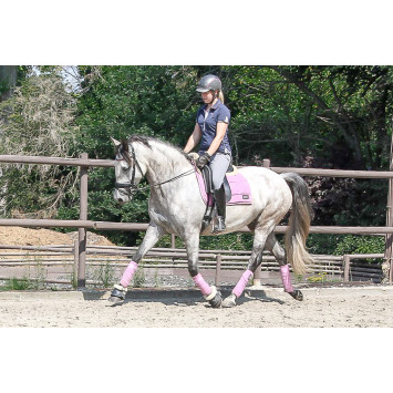 Jument Dressage
