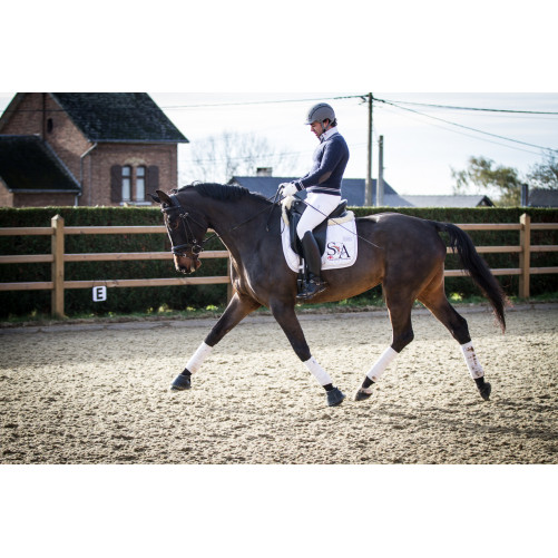 Jument dressage Finlande