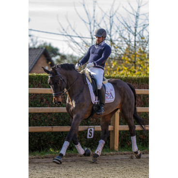 Jument dressage Finlande