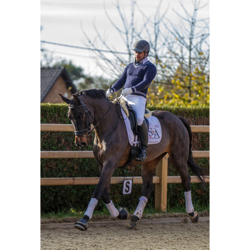 Jument dressage Finlande