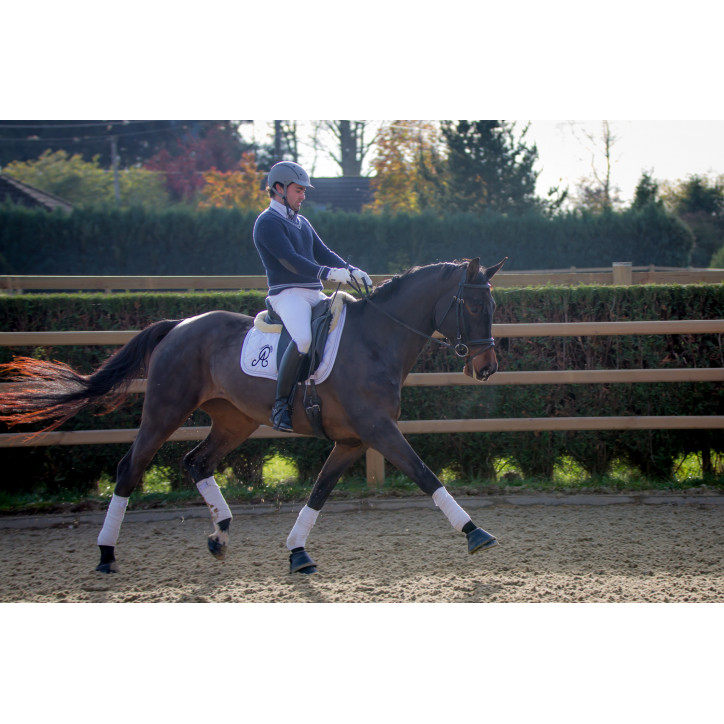 Jument dressage Finlande