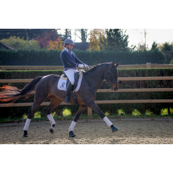 Jument dressage Finlande