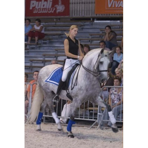 Grand prix « Belgique »
