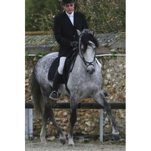 Grand prix en France